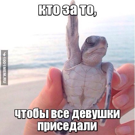  -   - 26  2015  19:50