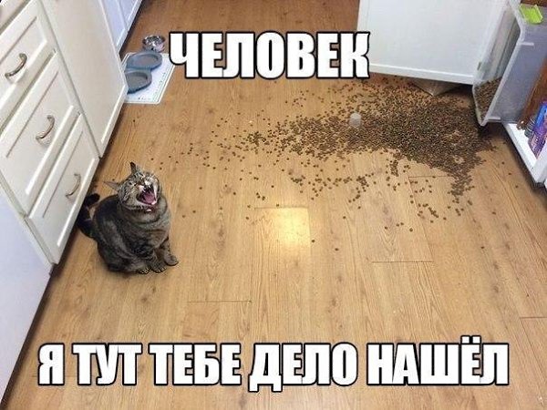       - 27  2015  16:07