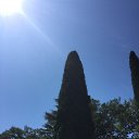  , , 38  -  10  2015    2015