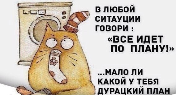   - 19  2015  21:52