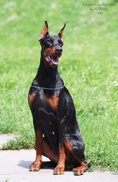 ����� ������� - 8 �������� 2015 � 18:05 - 8