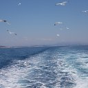 ���� �����, �����, 49 ��� - ��������� 13 ������� 2015 � ������ ���� ����������