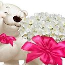 ���� ����� �����, ��������, 49 ��� - ��������� 15 �������� 2015 � ������ ������ ��������