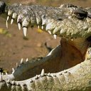 ���� �����, �����-��������� - ��������� 18 ���� 2015 � ������ ���� ����������