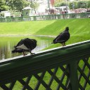 ���� ������, ����, 74 ���� - ��������� 4 ���� 2015 � ������ ������ ��������