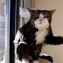 ���� Radik, ���, 44 ���� - ��������� 16 ������� 2015 � ������ ���� ����������