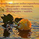 ���� �������, �������, 72 ���� - ��������� 3 ��� 2015 � ������ ������ ��������