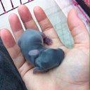 ���� ������, ��������, 53 ���� - ��������� 1 ��� 2015 � ������ ������ ��������