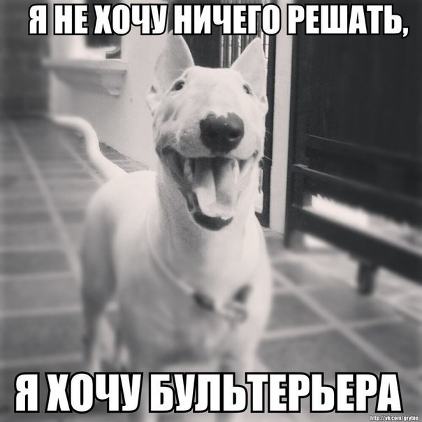 Давайте поиграем чтоли ? :))).Игра