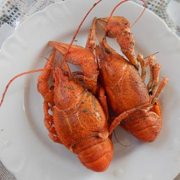 ���� �������, �����-���������, 72 ���� - ��������� 16 �������� 2015