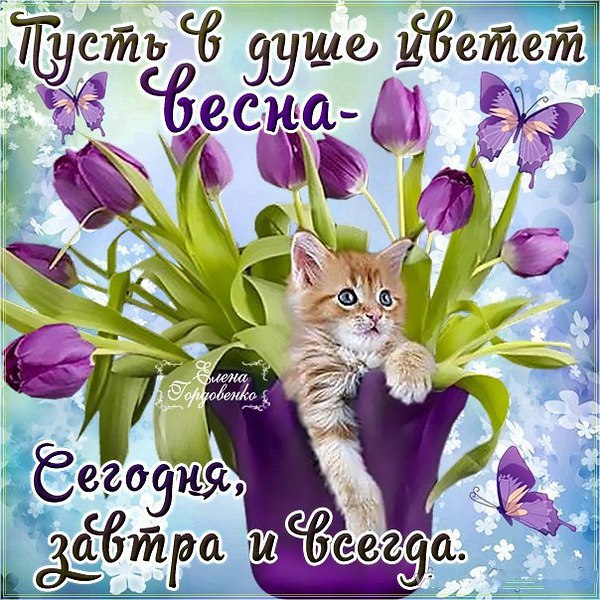  - 10  2015  11:06