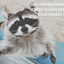  Max, -, 44  -  29  2015    