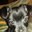 ���� �����, ��������� - ��������� 22 �������� 2015 � ������ ���