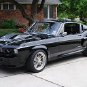 ���� ��������, �����-���������, 74 ���� - ��������� 24 ������ 2015 � ������ ���� ����������