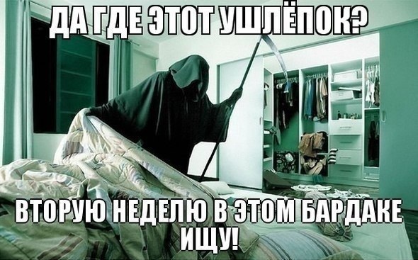   :D - 1  2015  12:17