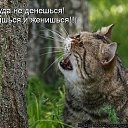 ���� ~Andrey~, �����-���������, 55 ��� - ��������� 17 �������� 2015 � ������ ������ ��������