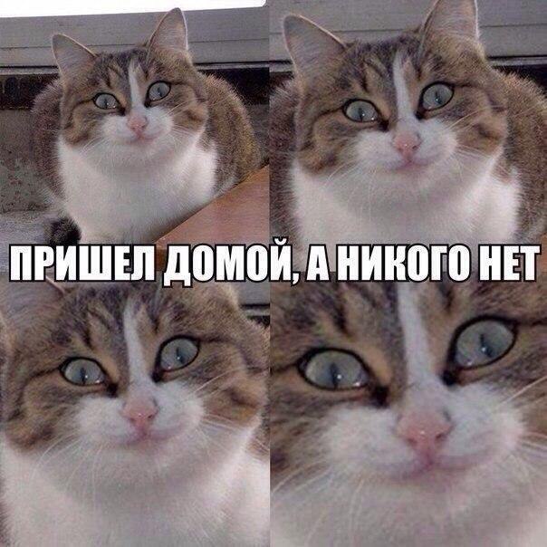  -  - 11  2015  10:23