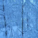  .   +15,    5.  .  . 06.05.2015. 2  45 . .       