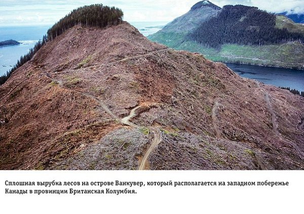 На грани апокалипсиса: Влияние человеческой деятельности на Землю.Глобальное потепление – далеко не ... - 3