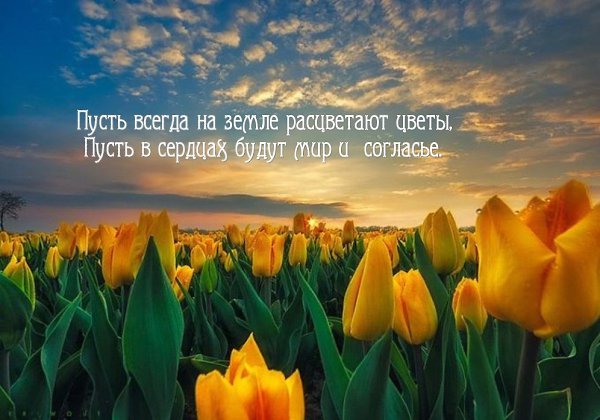 Пусть всегда на земле расцветают цветы, Пусть в сердцах будут мир и согласье.