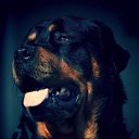 ���� �������� (�� �������), ������, 52 ���� - ��������� 6 �������� 2015 � ������ ������ ��������