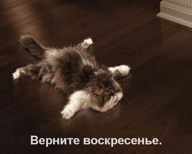   - 27  2015  05:53