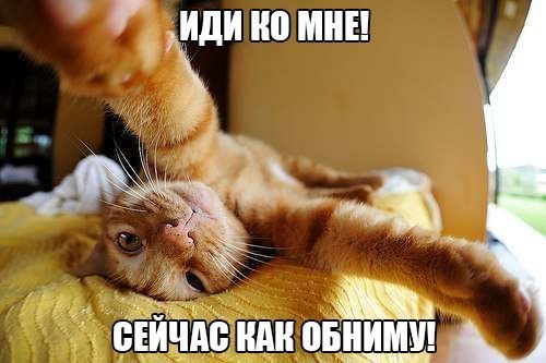       - 2  2015  15:32