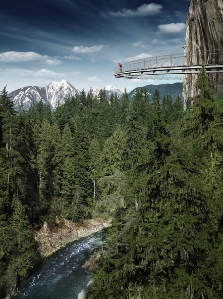     . (Capilano Suspension Bridge)    , ... - 6