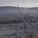  ,  -  28  2015    