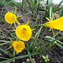 ���� ������ �� ������� ���� ��������� ������