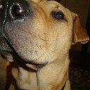 ���� �����, ������-��-����, 57 ��� - ��������� 7 ���� 2015 � ������ ���������)))�