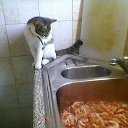 ��� �� ���? �� ������� ���� �������� � ������ �����...�