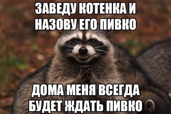 ��� ���� � ����� �� �� - 7 ������� 2015 � 11:01