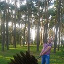 ���� ����, ������, 42 ���� - ��������� 4 ������� 2015 � ������ ���� ����������