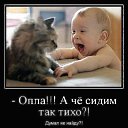 ���� Gugo, ������, 52 ���� - ��������� 4 ��� 2015 � ������ �����-����