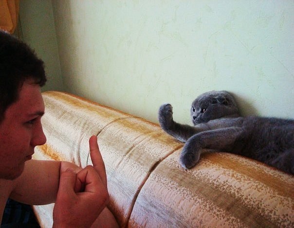          -     " "  -   : https://fotostrana.ru/away?to=/sl/9x2 - 9  2015  09:40