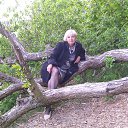 ���� ����, �����������, 61 ��� - ��������� 27 ��� 2015 � ������ ���� ����������