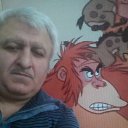 ���� �����, ������-��-����, 66 ��� - ��������� 28 ��� 2015