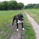 ���� �����, ������ - ��������� 19 ���� 2015 � ������ ���� ����������