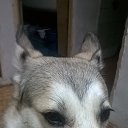 ��� �� ������� ���� ����������