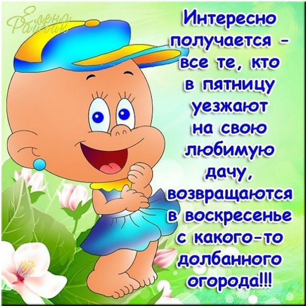 ��� ���� - 20 ������� 2015 � 16:47