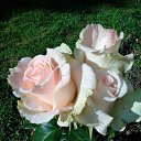 ���� ������, �����-���������, 63 ���� - ��������� 1 ���� 2015 � ������ ���� ����������