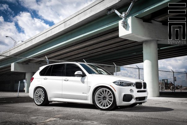 Alpine White BMW X5 - 5