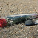 ���� ����, ��������, 53 ���� - ��������� 19 ������� 2015 � ������ ���� ����������