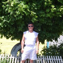 , 63 , 