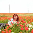  , , 46  -  11  2015   ,  !