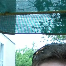 ������, ������, 45 ���