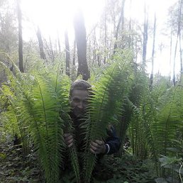 ���� ������, ������, 53 ���� - ��������� 25 ��� 2015