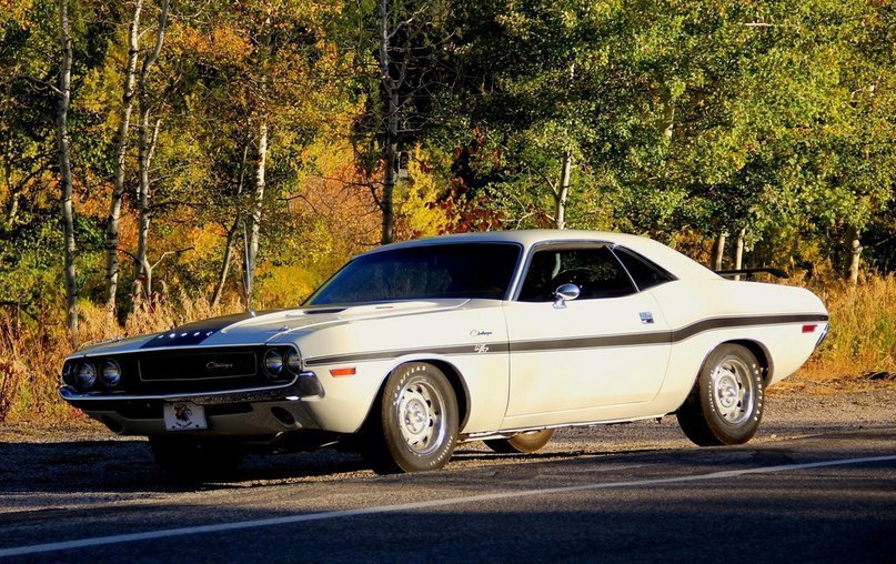 Dodge Challenger R/T. - 5