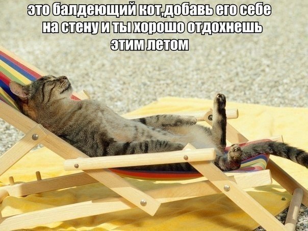    :D - 26  2015  11:43